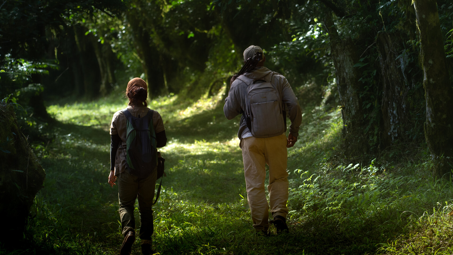 Wanderer im Regenwald
